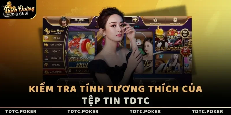 Kiểm tra tính tương thích của tệp tin TDTC